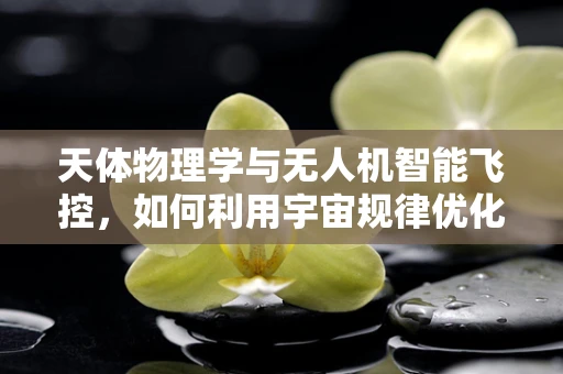 天体物理学与无人机智能飞控，如何利用宇宙规律优化飞行控制？
