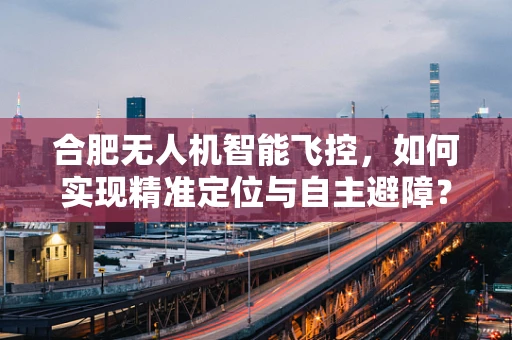 合肥无人机智能飞控，如何实现精准定位与自主避障？