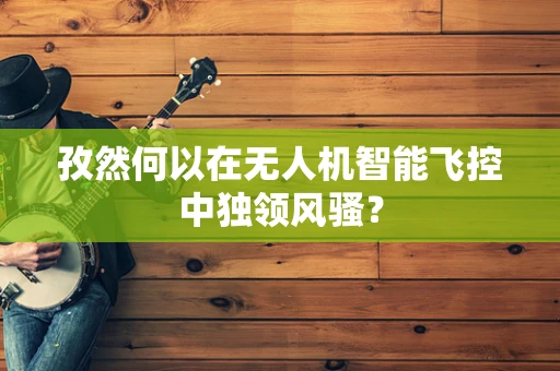 孜然何以在无人机智能飞控中独领风骚？
