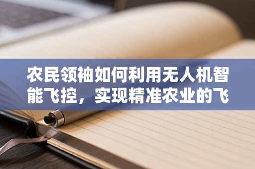农民领袖如何利用无人机智能飞控，实现精准农业的飞跃？