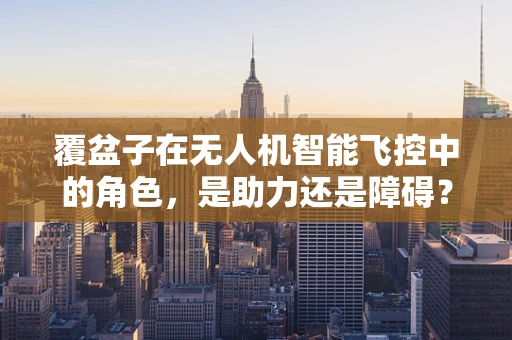 覆盆子在无人机智能飞控中的角色，是助力还是障碍？