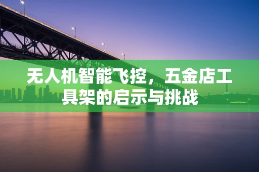 无人机智能飞控，五金店工具架的启示与挑战
