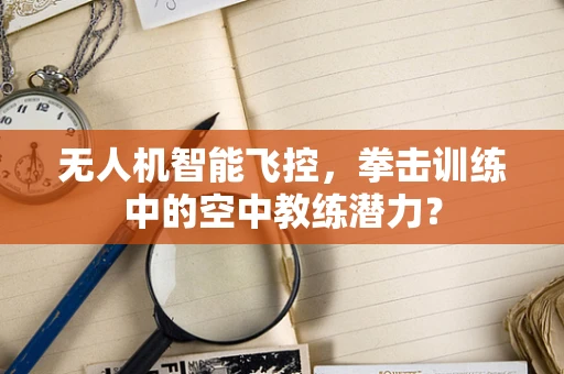 无人机智能飞控，拳击训练中的空中教练潜力？