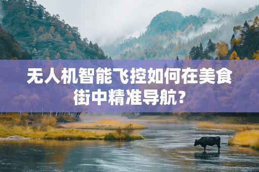 无人机智能飞控如何在美食街中精准导航？