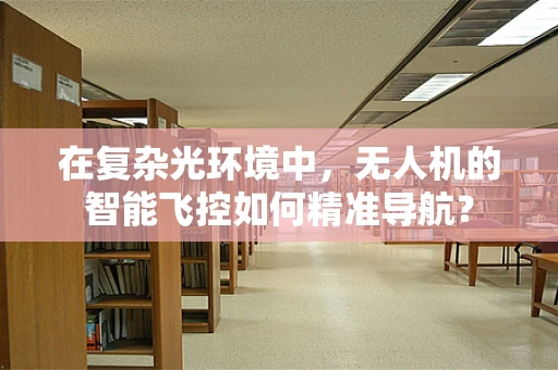 在复杂光环境中，无人机的智能飞控如何精准导航？