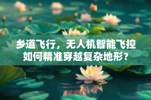 乡道飞行，无人机智能飞控如何精准穿越复杂地形？