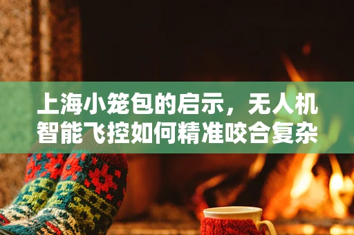 上海小笼包的启示，无人机智能飞控如何精准咬合复杂城市环境？