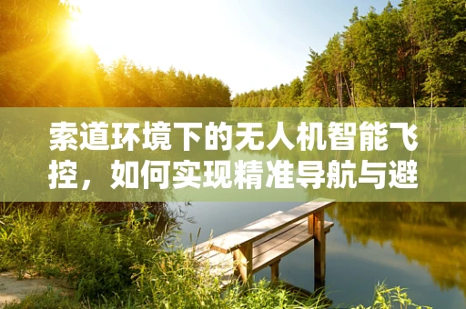 索道环境下的无人机智能飞控，如何实现精准导航与避障？