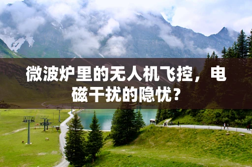 微波炉里的无人机飞控，电磁干扰的隐忧？