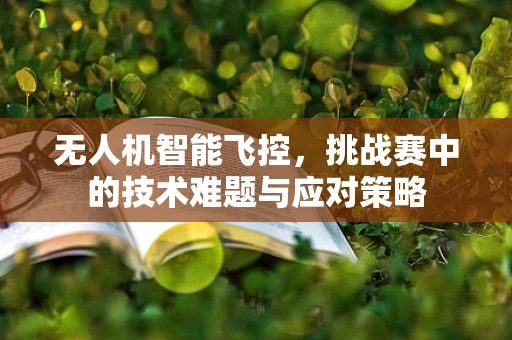 无人机智能飞控，挑战赛中的技术难题与应对策略