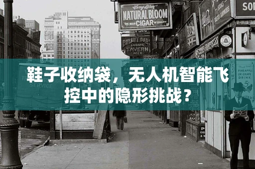 鞋子收纳袋，无人机智能飞控中的隐形挑战？