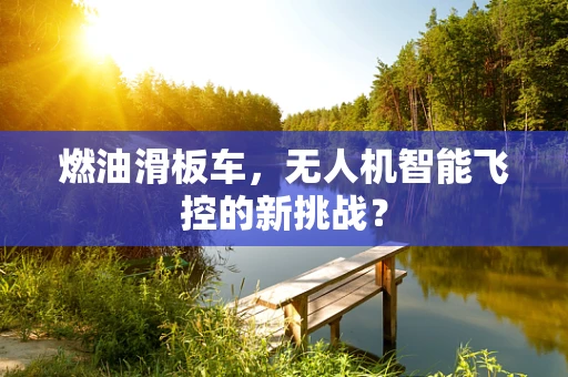燃油滑板车，无人机智能飞控的新挑战？