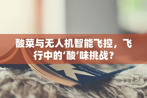 酸菜与无人机智能飞控，飞行中的‘酸’味挑战？