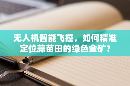 无人机智能飞控，如何精准定位蒜苗田的绿色金矿？