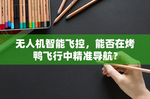 无人机智能飞控，能否在烤鸭飞行中精准导航？