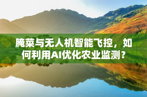 腌菜与无人机智能飞控，如何利用AI优化农业监测？
