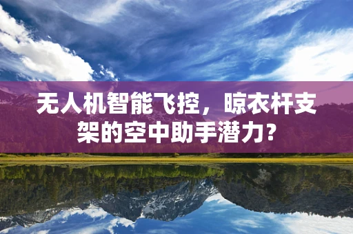 无人机智能飞控，晾衣杆支架的空中助手潜力？