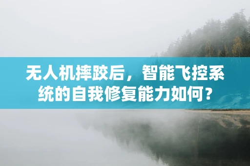 无人机摔跤后，智能飞控系统的自我修复能力如何？