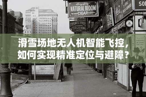 滑雪场地无人机智能飞控，如何实现精准定位与避障？