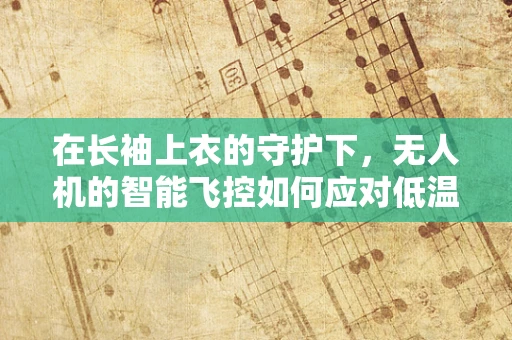 在长袖上衣的守护下，无人机的智能飞控如何应对低温挑战？