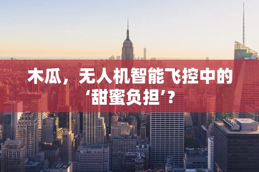 木瓜，无人机智能飞控中的‘甜蜜负担’？