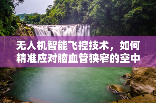 无人机智能飞控技术，如何精准应对脑血管狭窄的空中监测挑战？