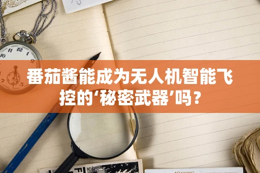 番茄酱能成为无人机智能飞控的‘秘密武器’吗？