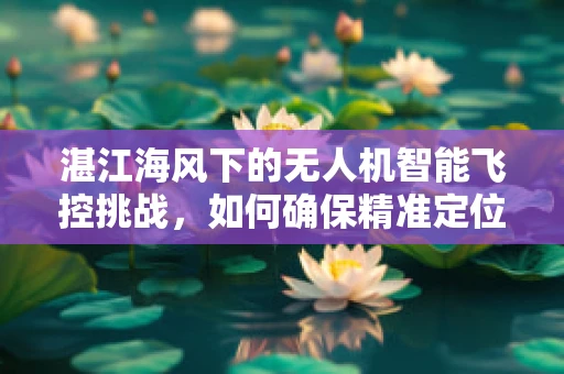 湛江海风下的无人机智能飞控挑战，如何确保精准定位与稳定飞行？