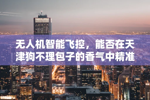 无人机智能飞控，能否在天津狗不理包子的香气中精准导航？
