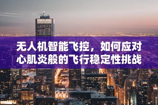 无人机智能飞控，如何应对心肌炎般的飞行稳定性挑战？