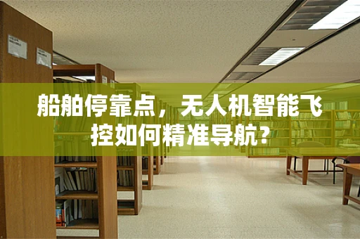 船舶停靠点，无人机智能飞控如何精准导航？