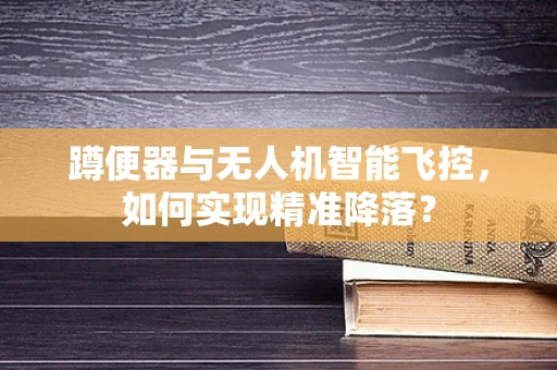 蹲便器与无人机智能飞控，如何实现精准降落？