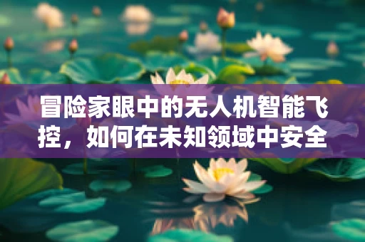 冒险家眼中的无人机智能飞控，如何在未知领域中安全导航？
