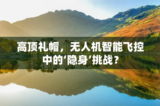 高顶礼帽，无人机智能飞控中的‘隐身’挑战？