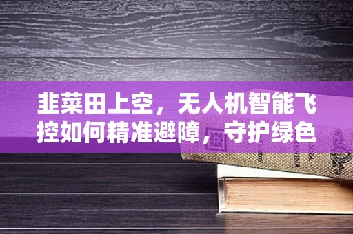 韭菜田上空，无人机智能飞控如何精准避障，守护绿色宝藏？