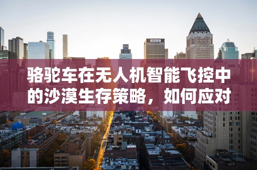 骆驼车在无人机智能飞控中的沙漠生存策略，如何应对极端环境挑战？