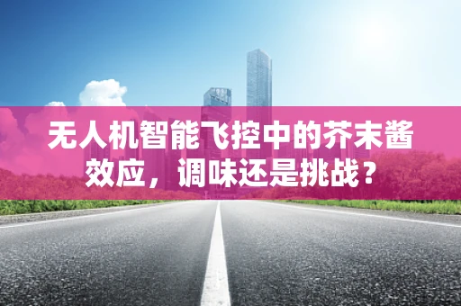 无人机智能飞控中的芥末酱效应，调味还是挑战？