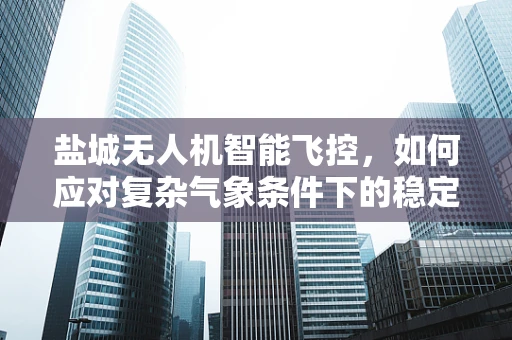 盐城无人机智能飞控，如何应对复杂气象条件下的稳定飞行？
