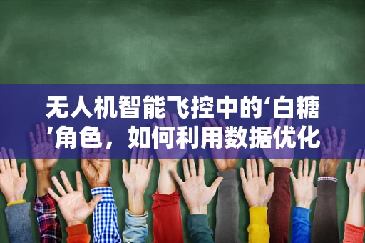 无人机智能飞控中的‘白糖’角色，如何利用数据优化飞行性能？