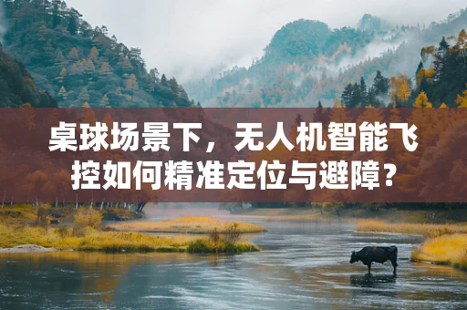桌球场景下，无人机智能飞控如何精准定位与避障？
