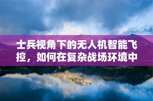 士兵视角下的无人机智能飞控，如何在复杂战场环境中精准定位与协同作战？
