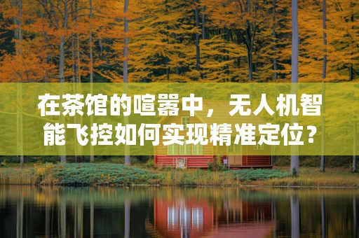 在茶馆的喧嚣中，无人机智能飞控如何实现精准定位？