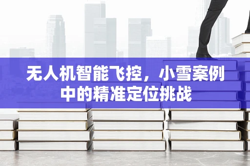 无人机智能飞控，小雪案例中的精准定位挑战