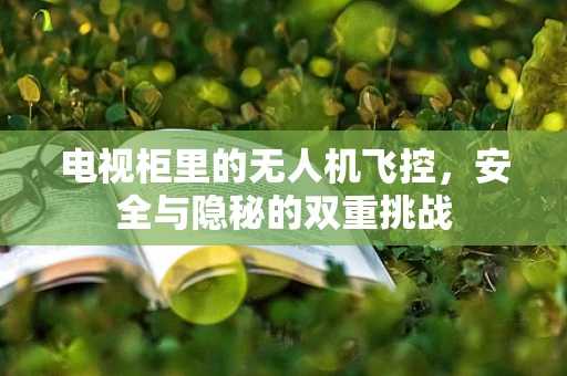 电视柜里的无人机飞控，安全与隐秘的双重挑战