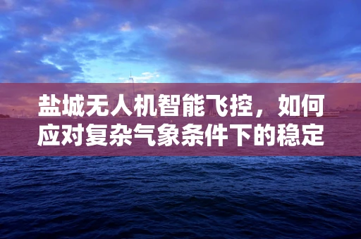 盐城无人机智能飞控，如何应对复杂气象条件下的稳定飞行？