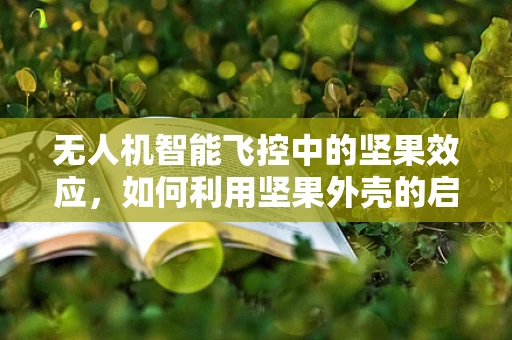 无人机智能飞控中的坚果效应，如何利用坚果外壳的启发优化飞行稳定性？