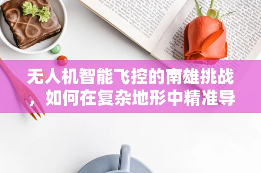 无人机智能飞控的南雄挑战，如何在复杂地形中精准导航？