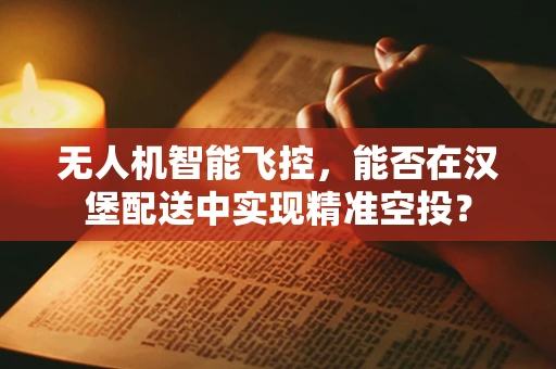 无人机智能飞控，能否在汉堡配送中实现精准空投？