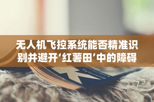 无人机飞控系统能否精准识别并避开‘红薯田’中的障碍？
