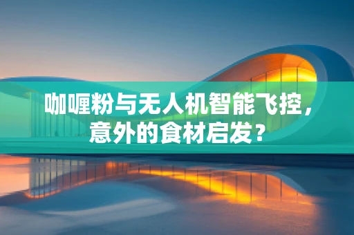 咖喱粉与无人机智能飞控，意外的食材启发？